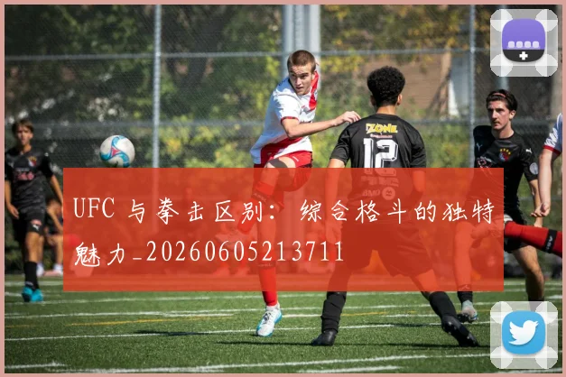 UFC 与拳击区别：综合格斗的独特魅力_20260605213711